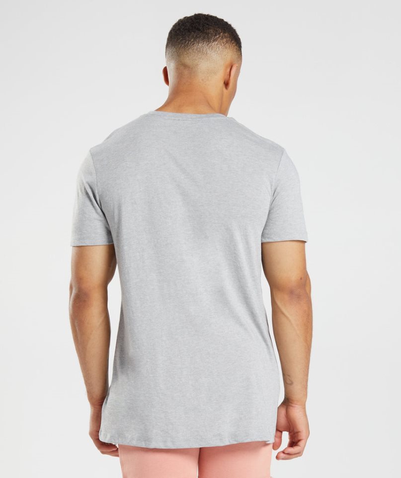 Men's Gymshark Legacy T-Shirts Light Grey | CA N86107